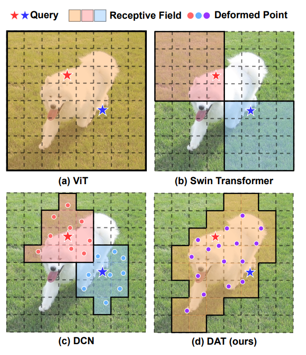 ViT and Deformable Convolutional Network Comparison