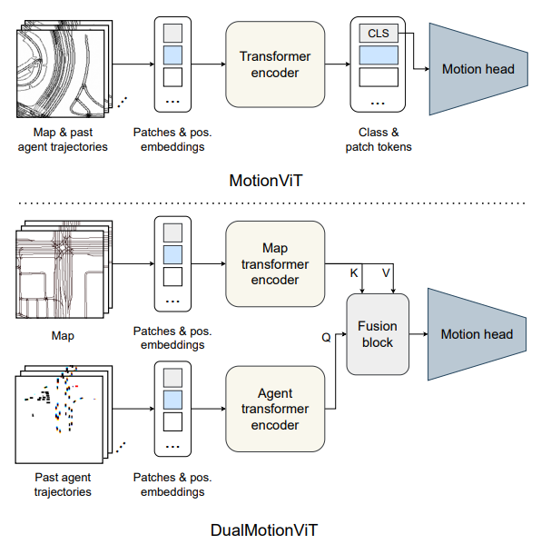 Proposed Motion ViT architecture