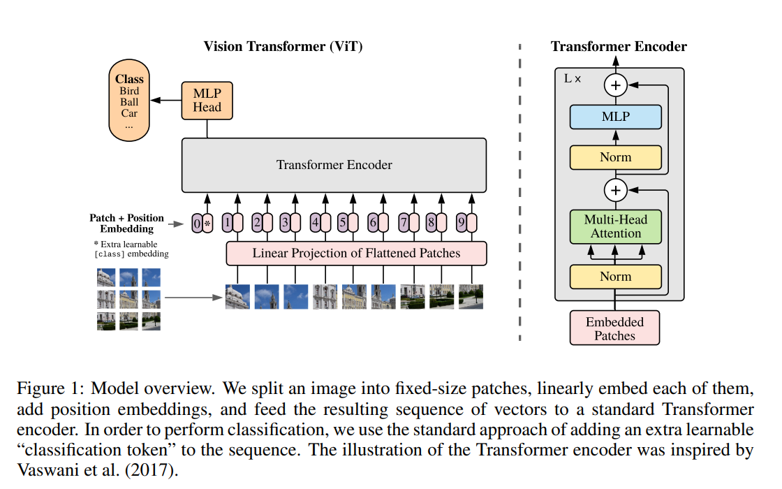 Vision Transformer